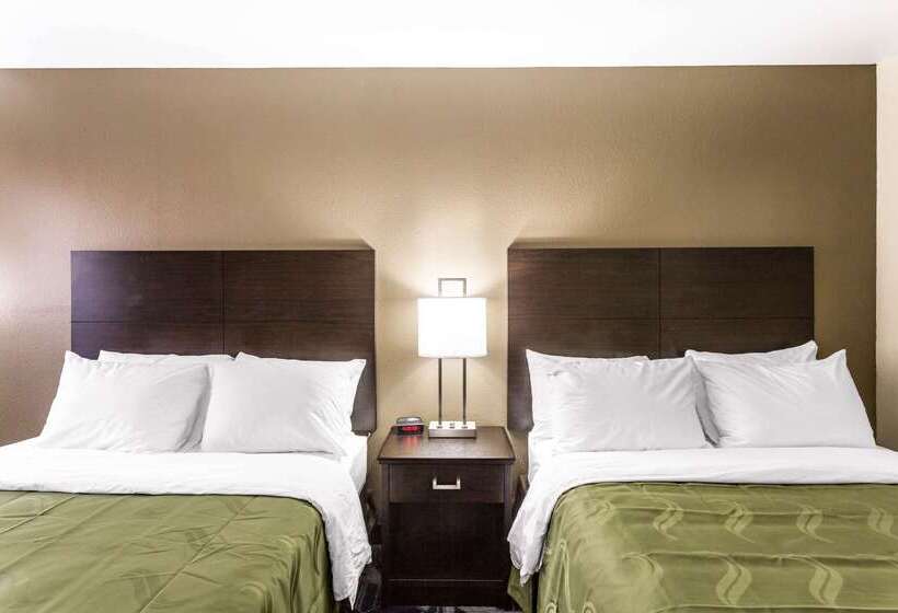 酒店 Quality Inn Downtown