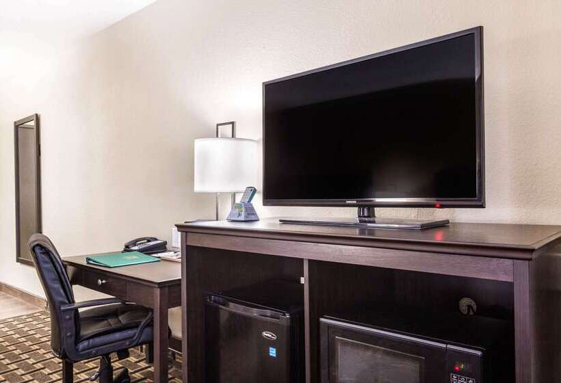 酒店 Quality Inn Downtown