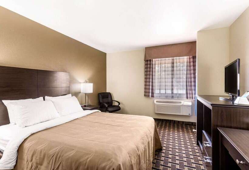 酒店 Quality Inn Downtown