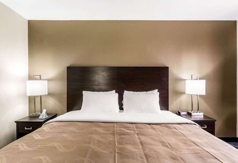 酒店 Quality Inn Downtown