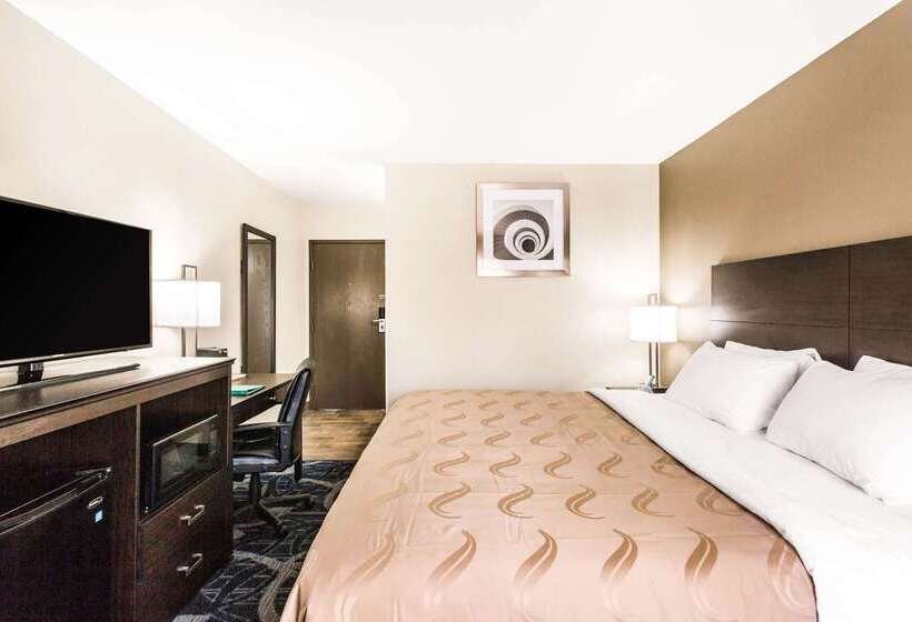 酒店 Quality Inn Downtown