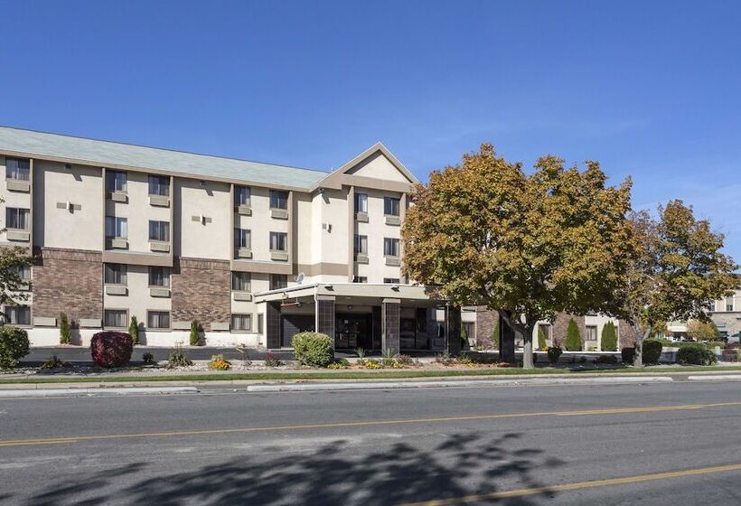 酒店 Quality Inn Downtown