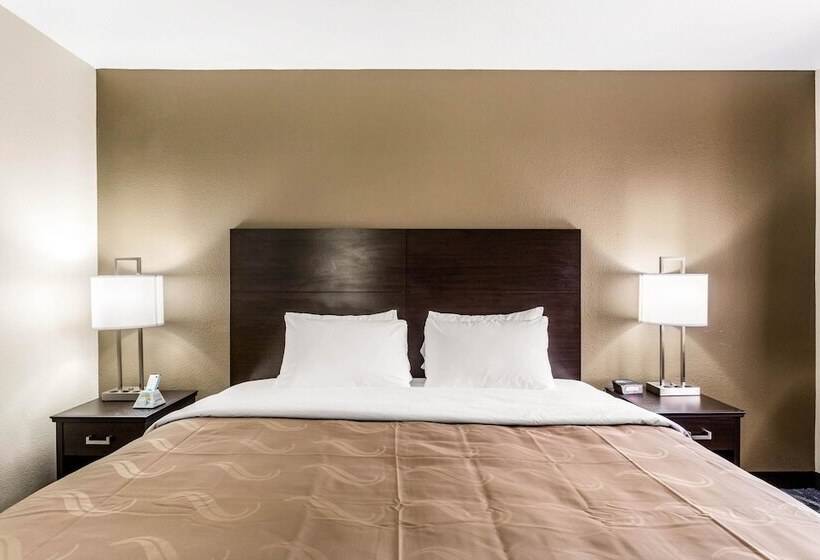 酒店 Quality Inn Downtown