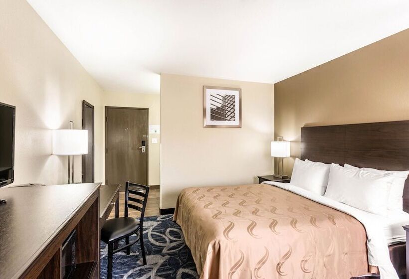 酒店 Quality Inn Downtown