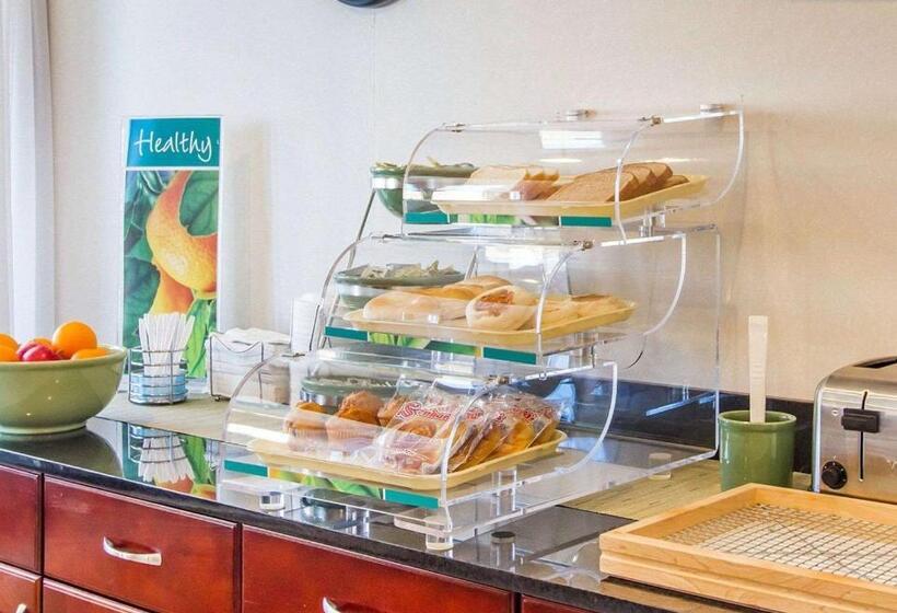 בית מלון כפרי Quality Inn Dyersburg I155