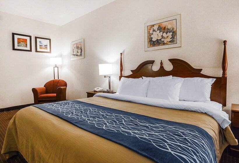 Отель Quality Inn