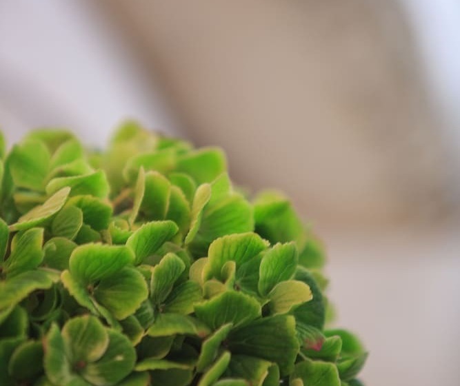 호텔 Renaissance Denver Downtown City Center