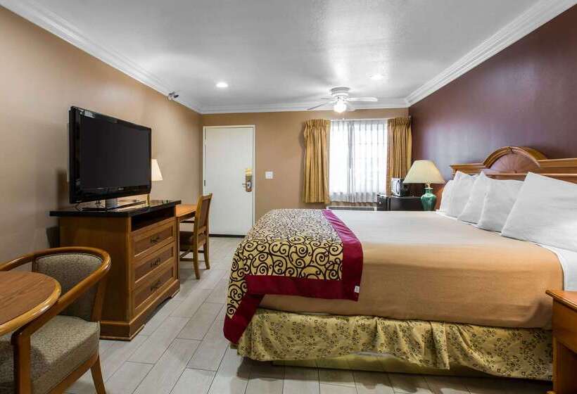 ホテル Rodeway Inn