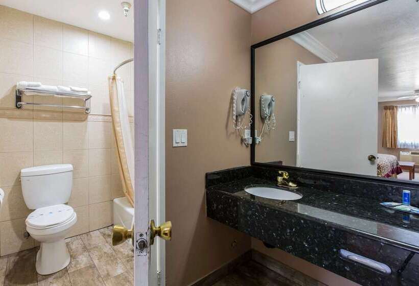 ホテル Rodeway Inn