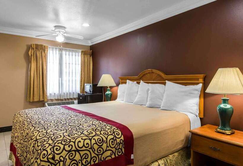 ホテル Rodeway Inn