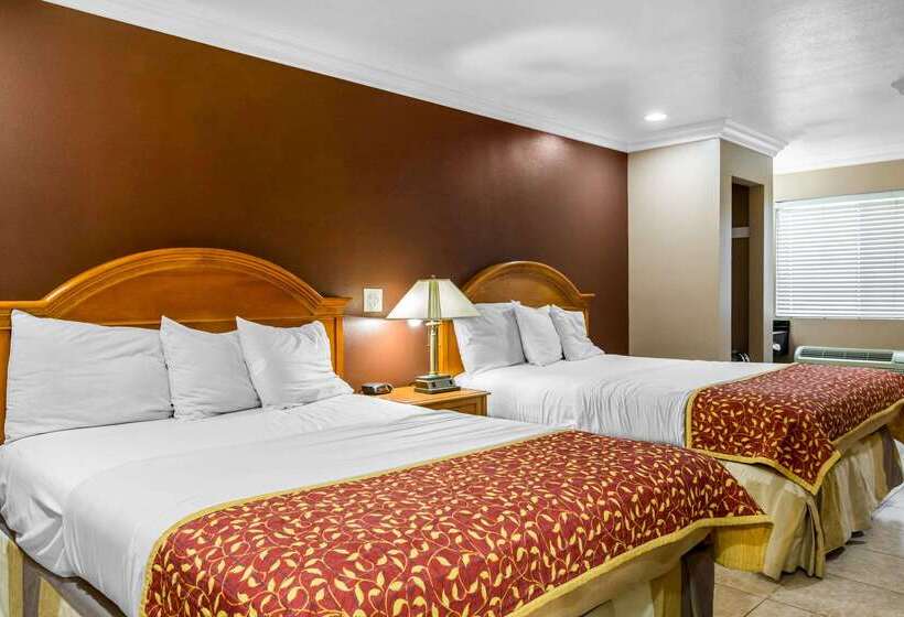 ホテル Rodeway Inn