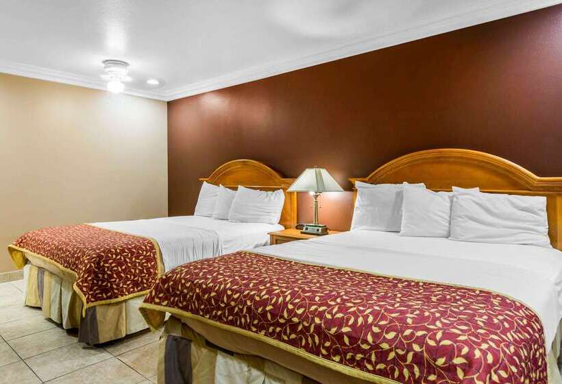 ホテル Rodeway Inn