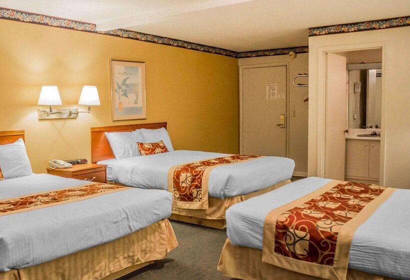 فندق Rodeway Inn