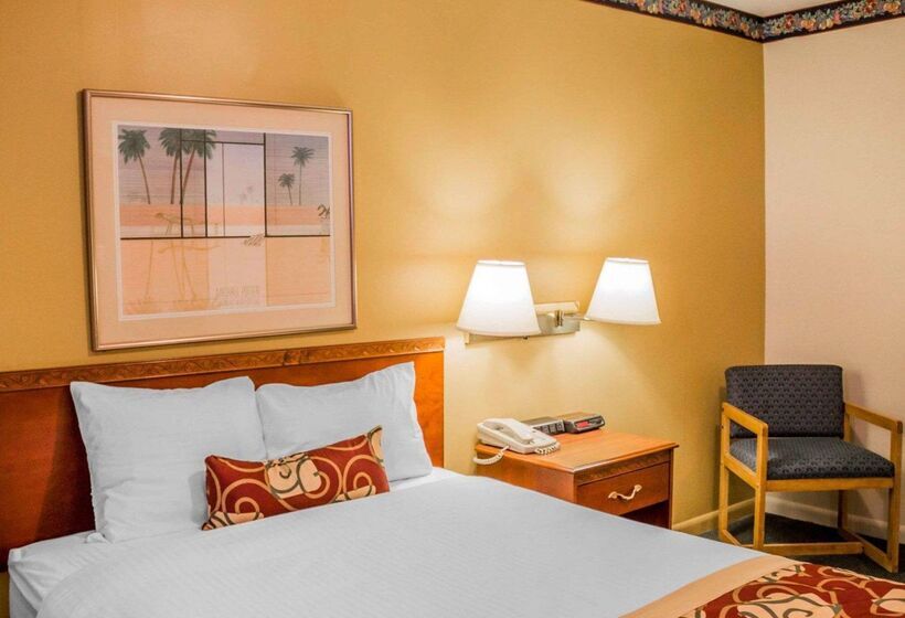 فندق Rodeway Inn