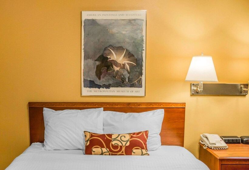 فندق Rodeway Inn