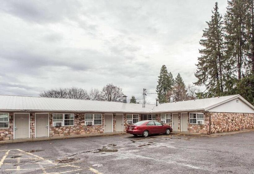 فندق Rodeway Inn