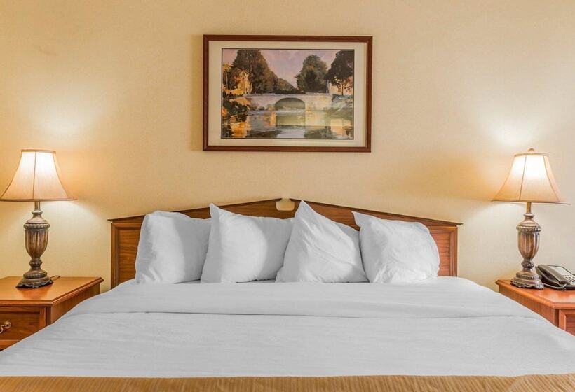 فندق Rodeway Inn Sylacauga Hwy 280