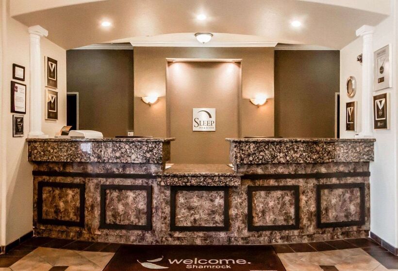 酒店 Sleep Inn & Suites