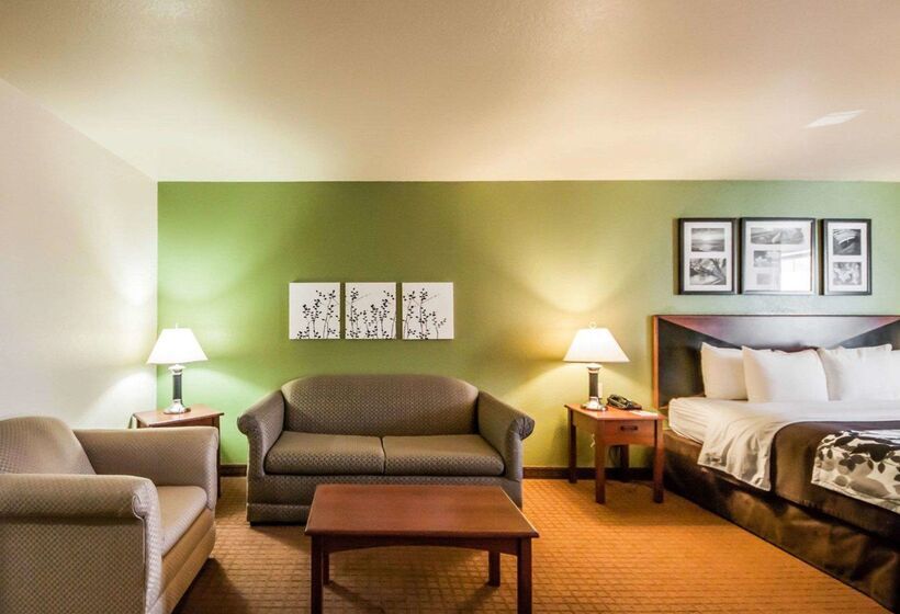酒店 Sleep Inn & Suites