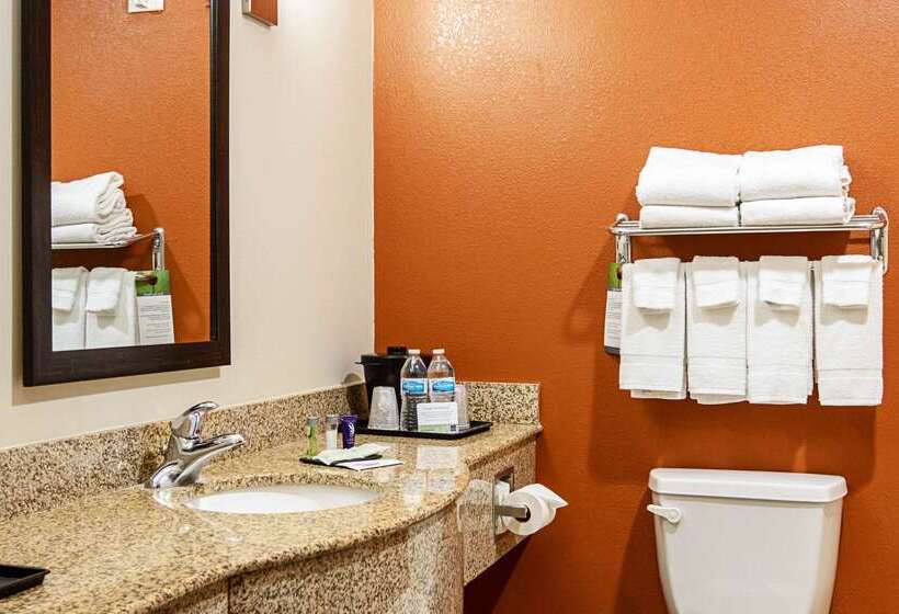 ホテル Sleep Inn & Suites