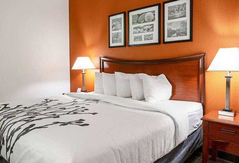 ホテル Sleep Inn & Suites