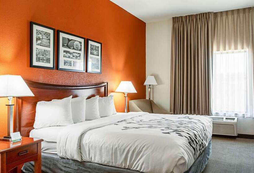 ホテル Sleep Inn & Suites