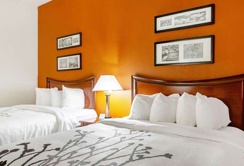 ホテル Sleep Inn & Suites