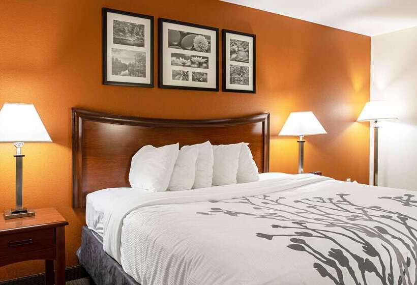 ホテル Sleep Inn & Suites