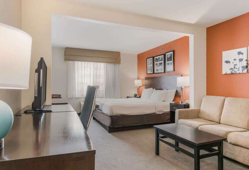 ホテル Sleep Inn & Suites