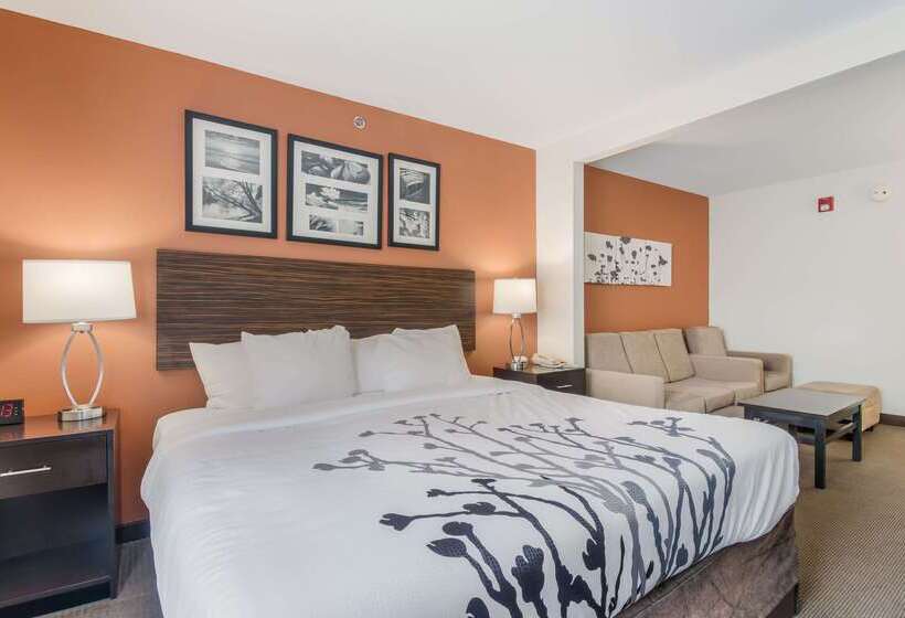 ホテル Sleep Inn & Suites