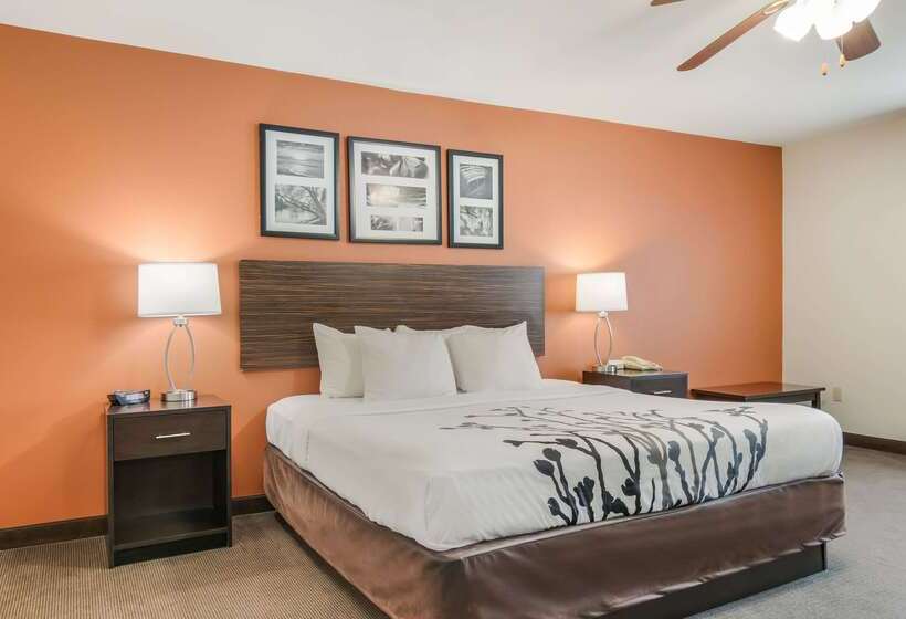 ホテル Sleep Inn & Suites