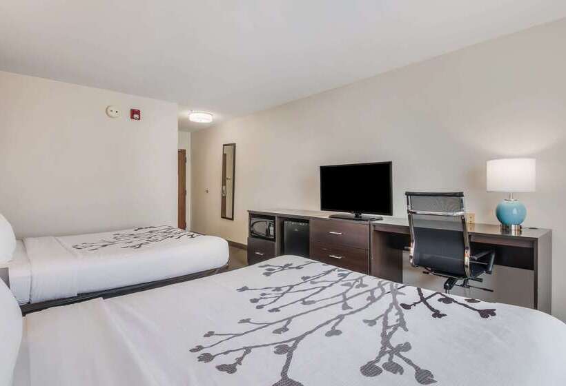 ホテル Sleep Inn & Suites