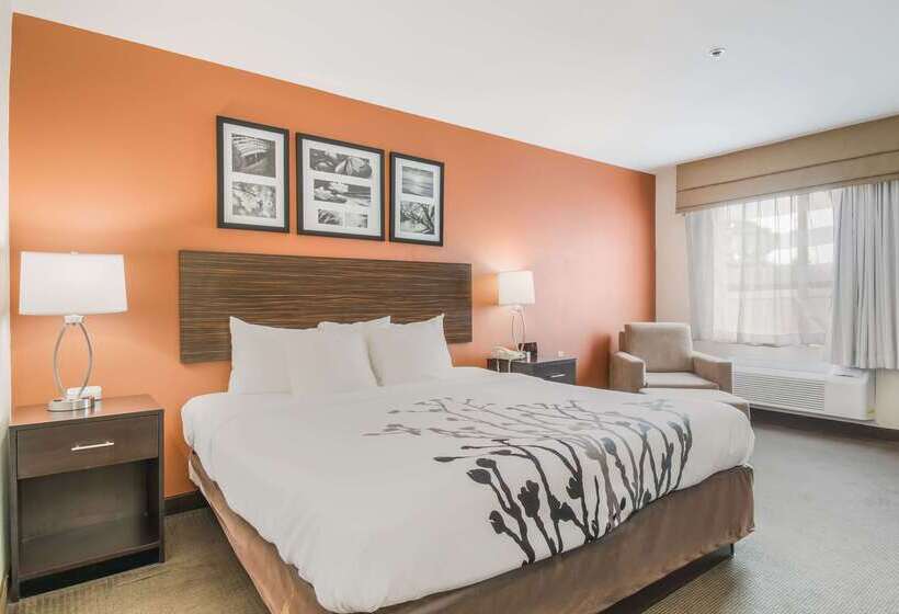 ホテル Sleep Inn & Suites