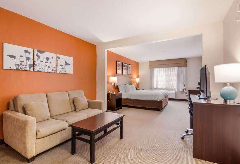 ホテル Sleep Inn & Suites