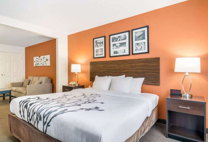 ホテル Sleep Inn & Suites
