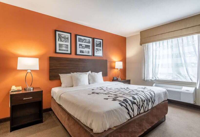 ホテル Sleep Inn & Suites