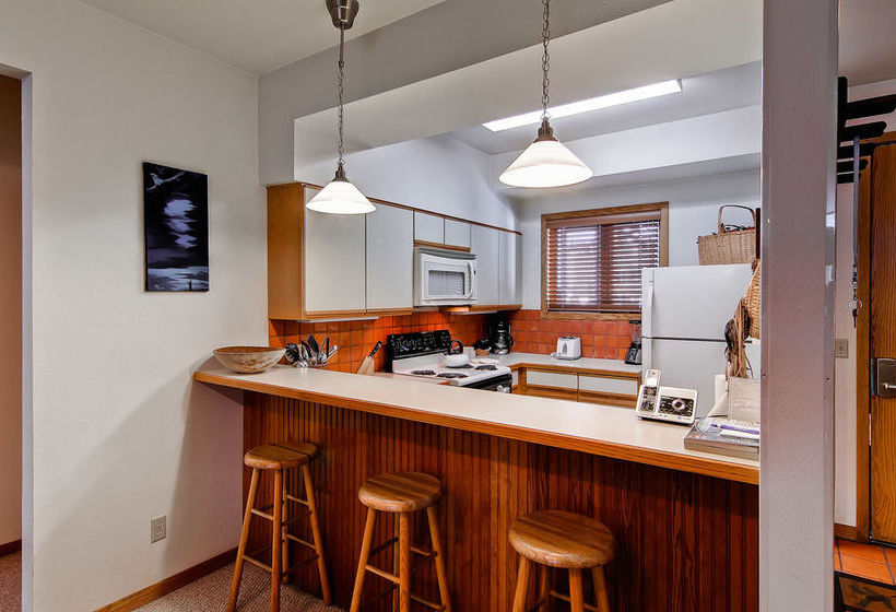 ホテル Snow Flower Condos By Steamboat Resorts