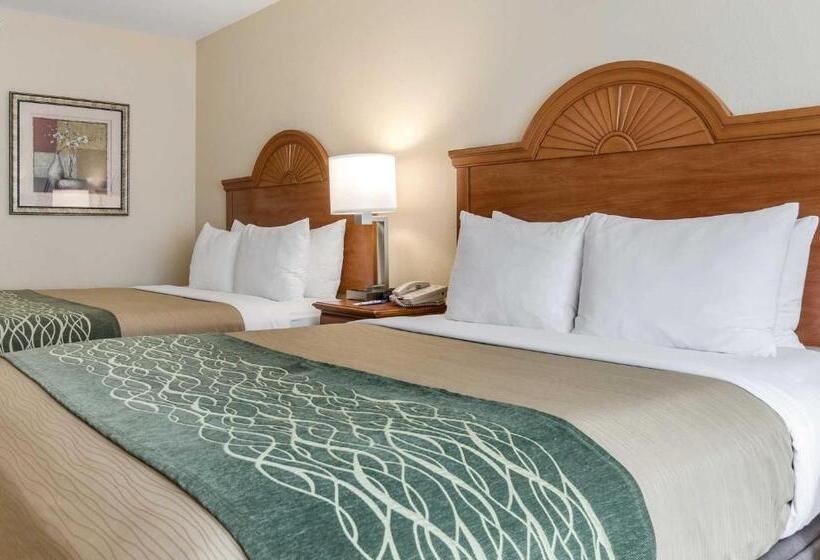 酒店 Super 8 By Wyndham Great Bend