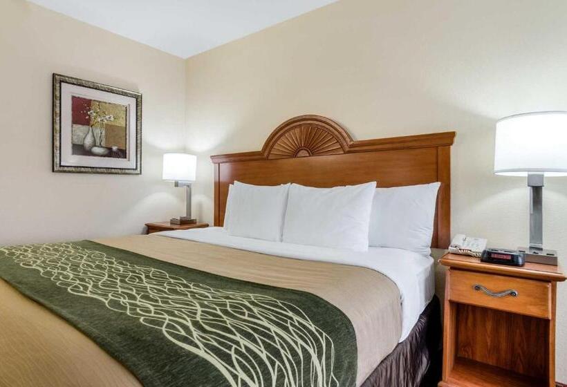 酒店 Super 8 By Wyndham Great Bend