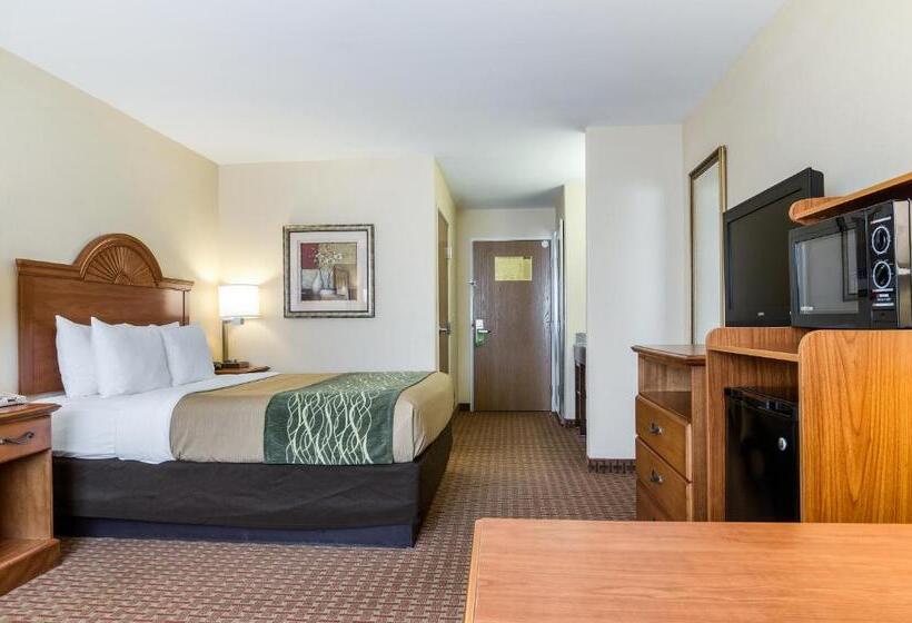 酒店 Super 8 By Wyndham Great Bend