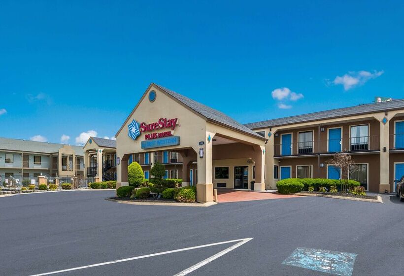 Surestay Plus Hotel By Best Western Jackson
