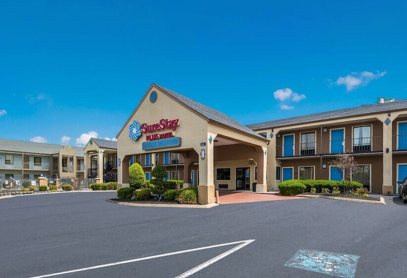 Surestay Plus Hotel By Best Western Jackson