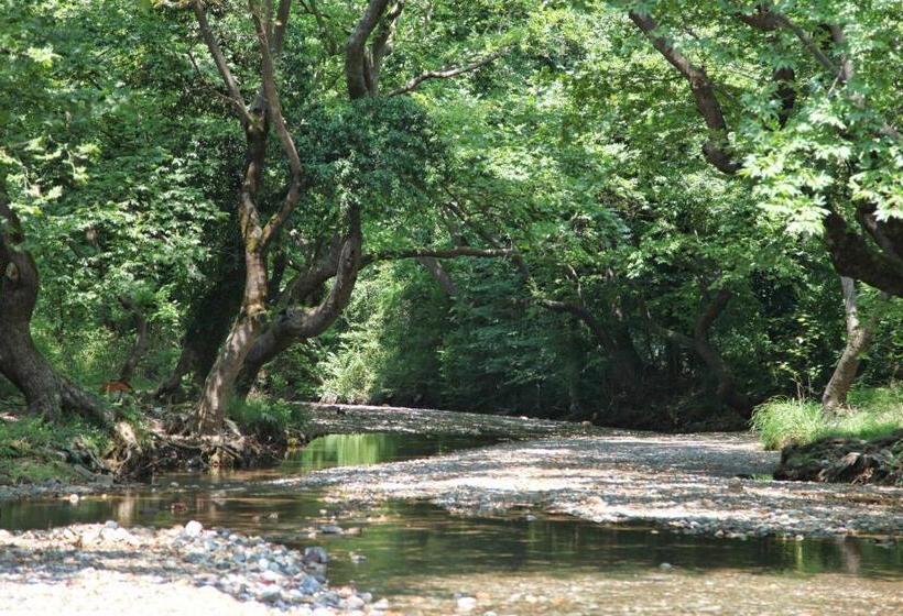 هتل Thalatta Seaside