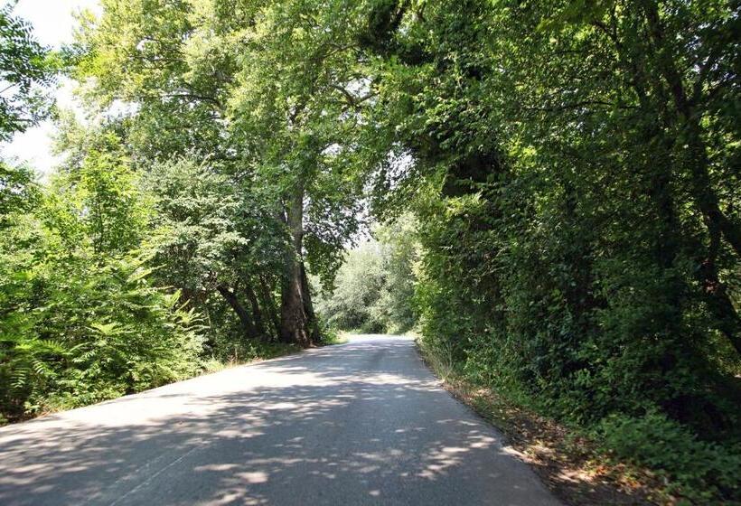 هتل Thalatta Seaside