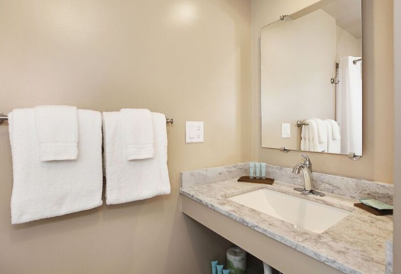 فندق The Iso By Castle