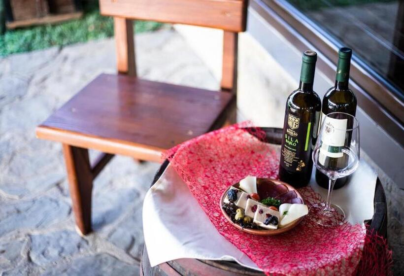 هتل Vila Prezident