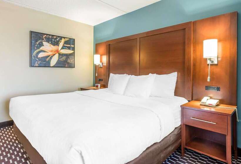 فندق Spark By Hilton St. Augustine Historic District