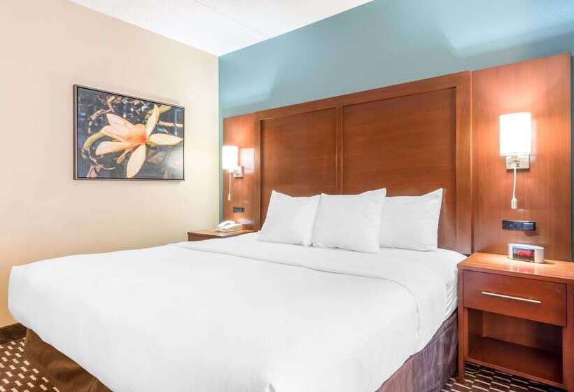 فندق Spark By Hilton St. Augustine Historic District