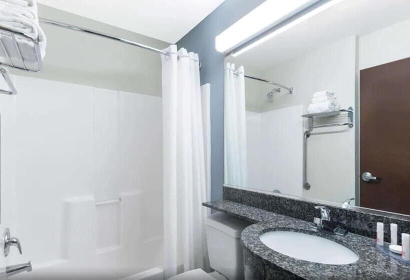 Microtel Inn And Suites Baton Rouge Airport