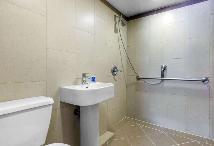 מוטל Rodeway Inn